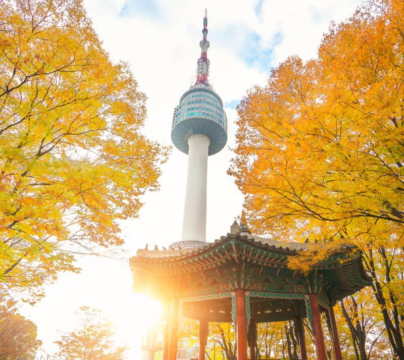 Namsan Tower – Cable Car & Shopping at Myeongdong