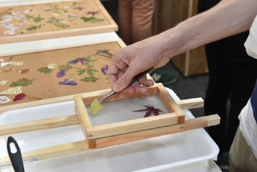 Making Washi (Japanese Paper)