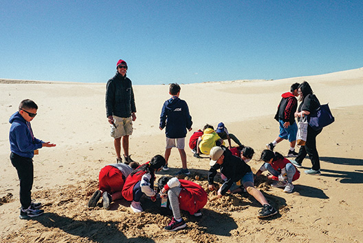 Geography at Stockton Bight Sand Dune